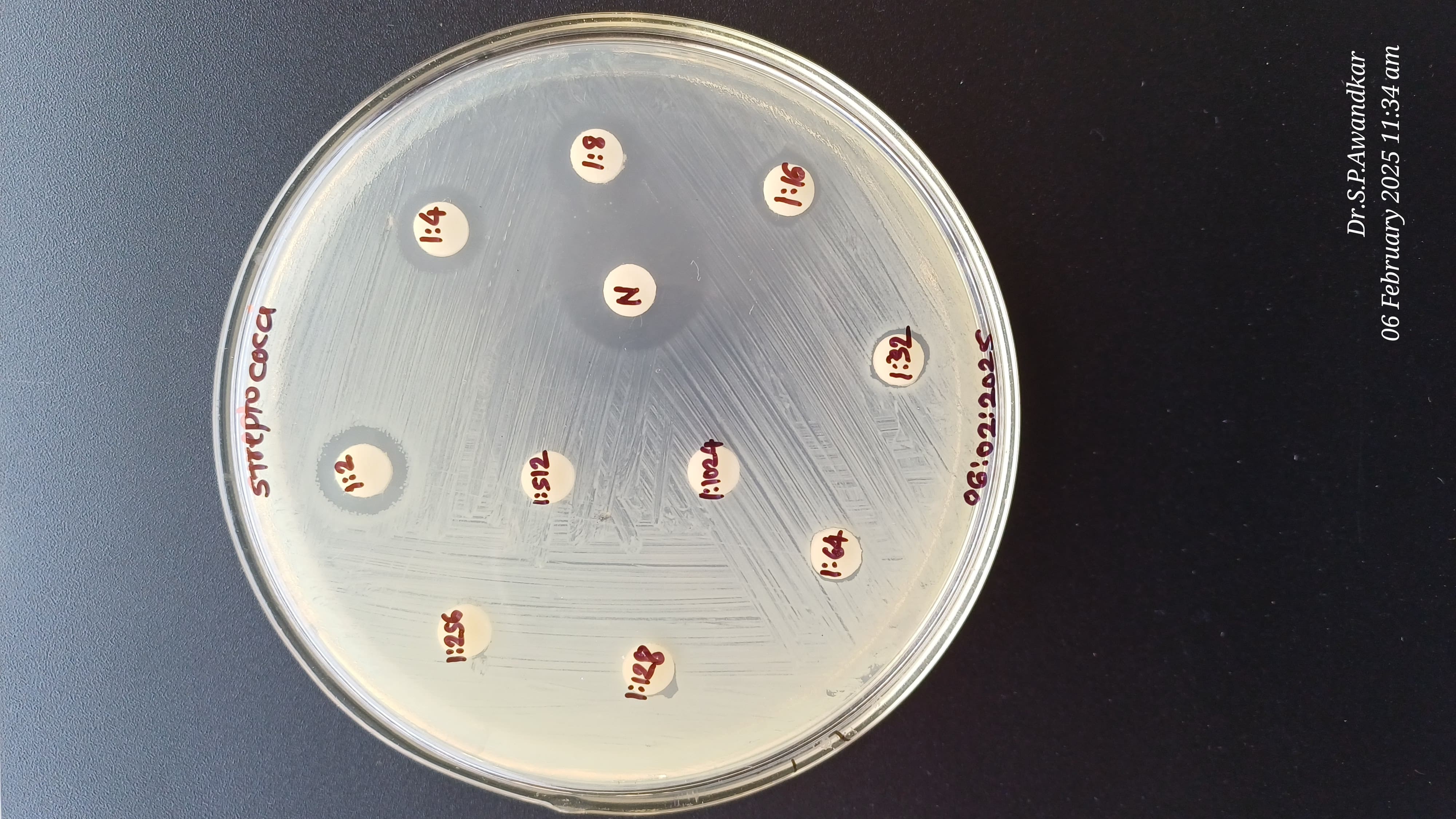 23. Antibacterial Activity Of Herbal Teat Dip